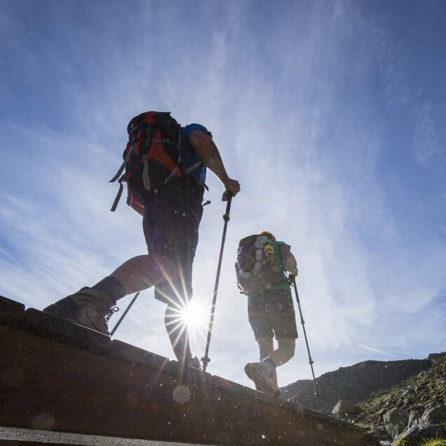 Bild_Wandern_Sommerseite_Kopie