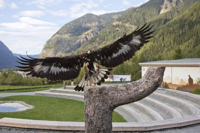 Bild_Ausflugsziele_Sommerseite